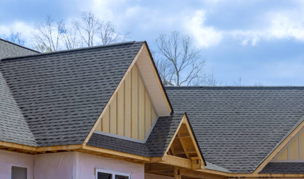 Best Roofing for New Construction  in Presidio, TX