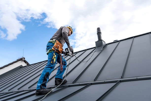 Best Metal Roofing Installation  in Presidio, TX