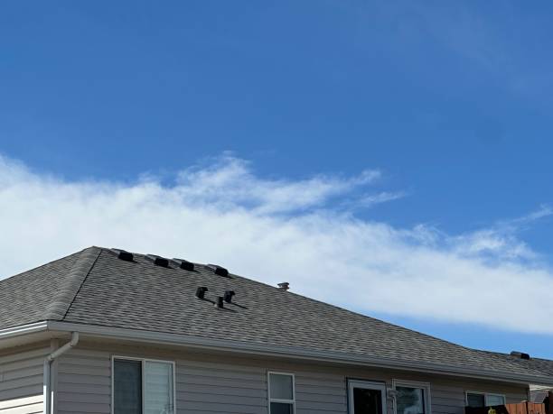 Roof Insulation Installation